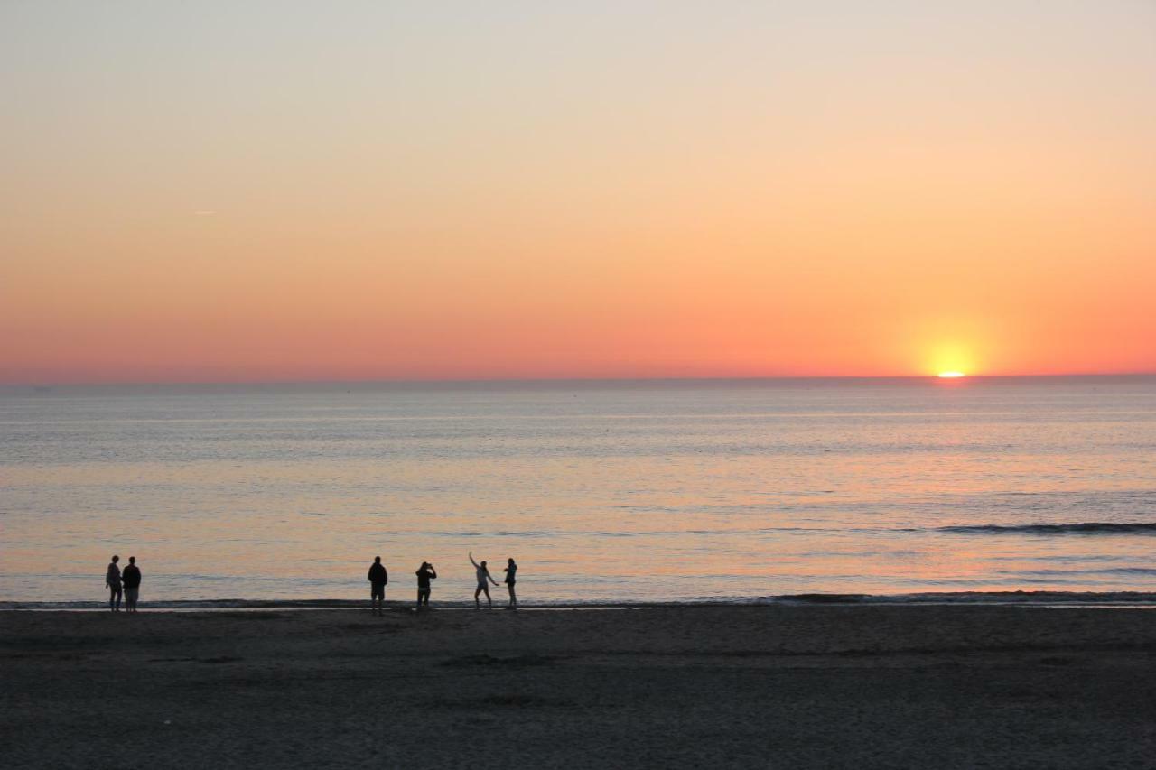 Bluesheep-Texel Bed & Breakfast เดอ คุก ภายนอก รูปภาพ